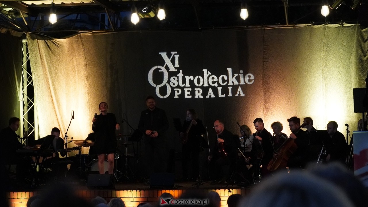 XI Festiwal Muzyczny Ostrołęckie Operalia - „Parostatkiem piękny rejs... [29.08.2026] - zdjęcie #5 - eOstroleka.pl