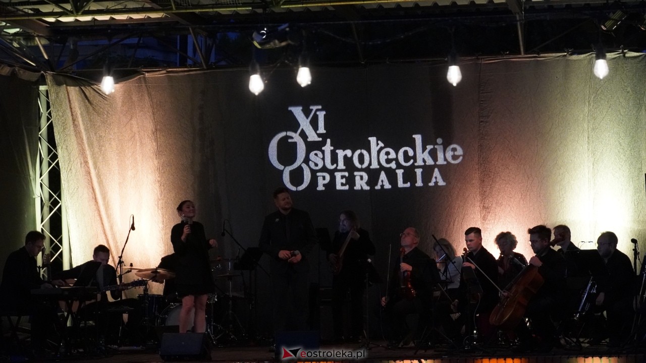 XI Festiwal Muzyczny Ostrołęckie Operalia - „Parostatkiem piękny rejs... [29.08.2026] - zdjęcie #4 - eOstroleka.pl