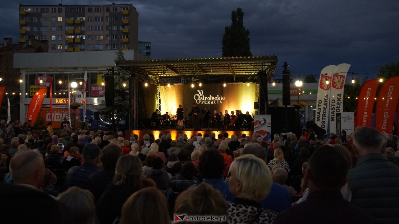 XI Festiwal Muzyczny Ostrołęckie Operalia - „Parostatkiem piękny rejs... [29.08.2026] - zdjęcie #3 - eOstroleka.pl