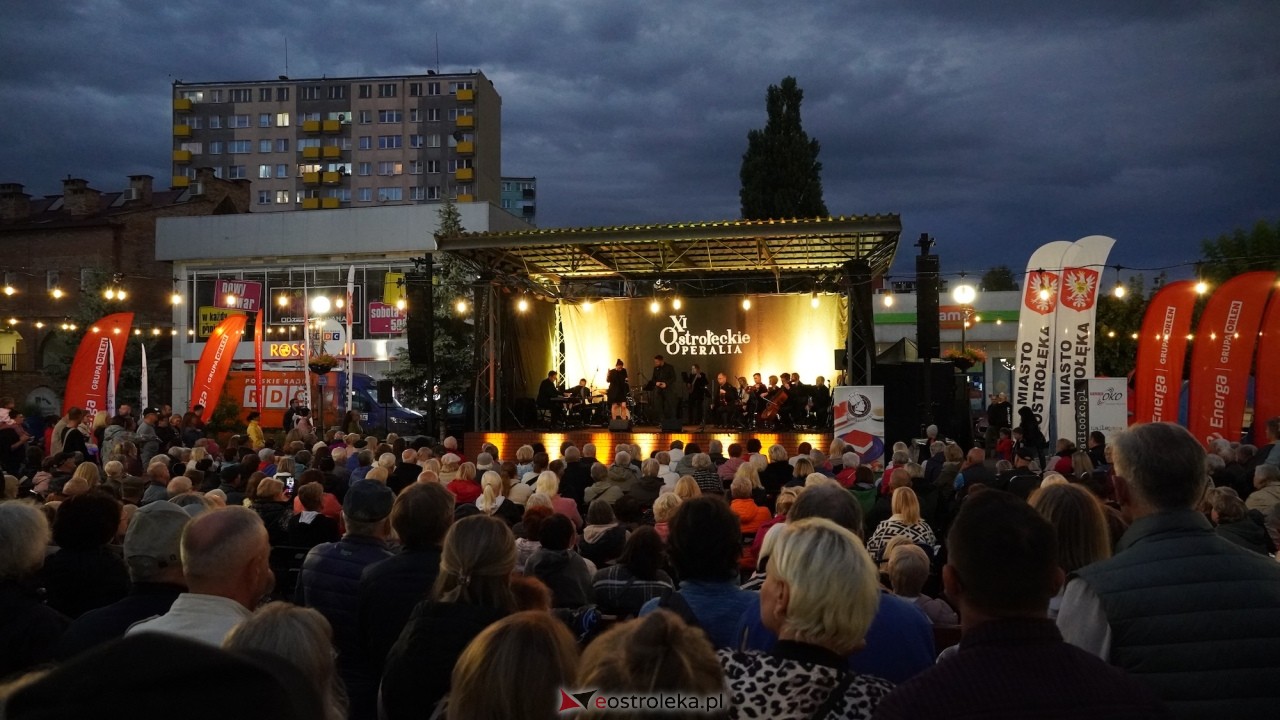 XI Festiwal Muzyczny Ostrołęckie Operalia - „Parostatkiem piękny rejs... [29.08.2026] - zdjęcie #2 - eOstroleka.pl