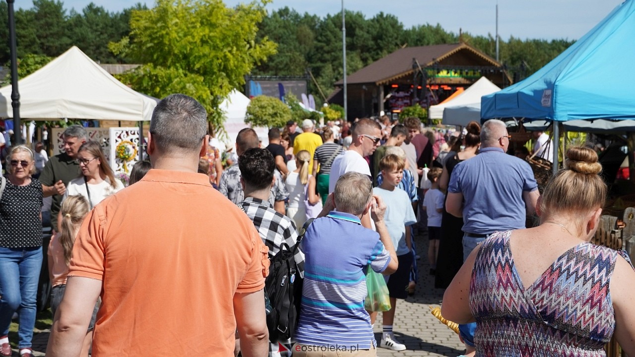 Miodobranie Kurpiowskie 2026 [30.08.2026] - zdjęcie #282 - eOstroleka.pl