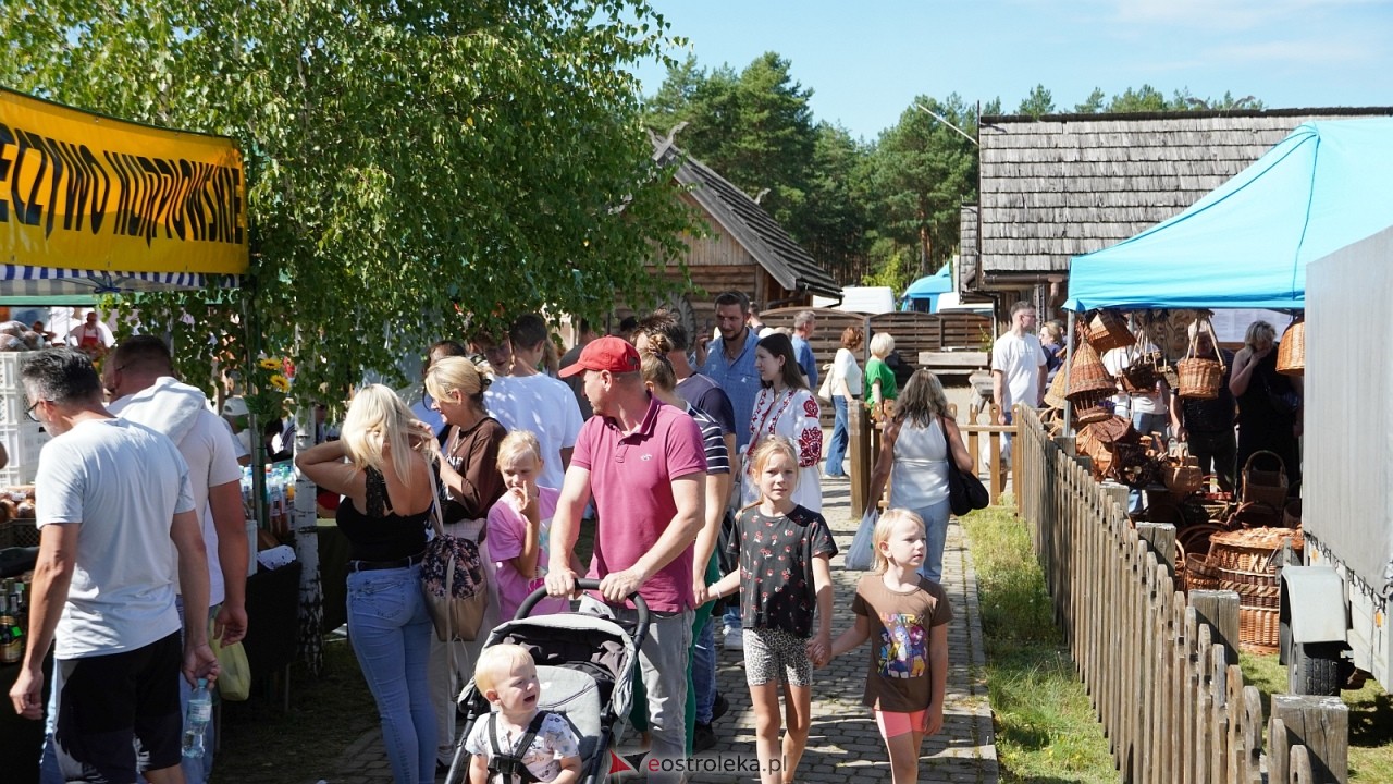 Miodobranie Kurpiowskie 2026 [30.08.2026] - zdjęcie #267 - eOstroleka.pl