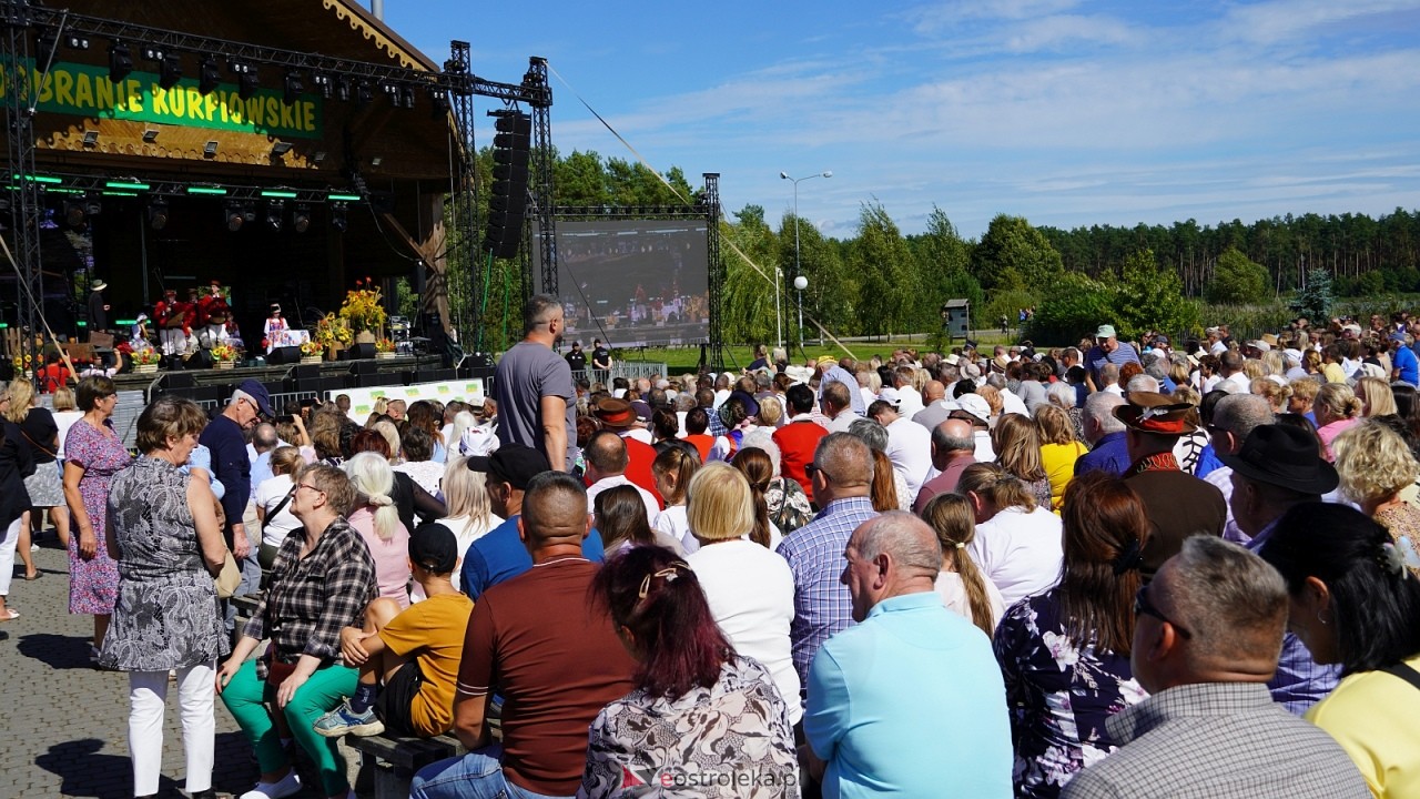 Miodobranie Kurpiowskie 2026 [30.08.2026] - zdjęcie #197 - eOstroleka.pl