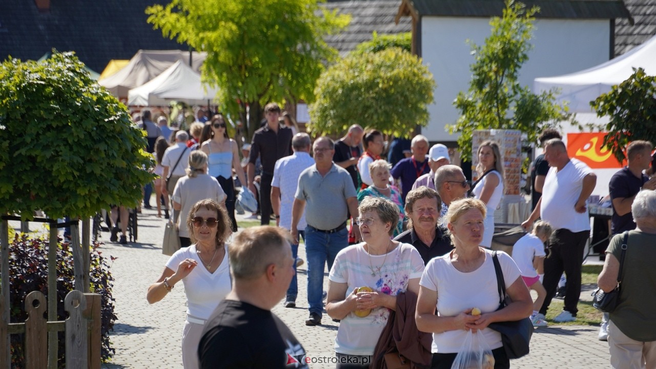 Miodobranie Kurpiowskie 2026 [30.08.2026] - zdjęcie #187 - eOstroleka.pl