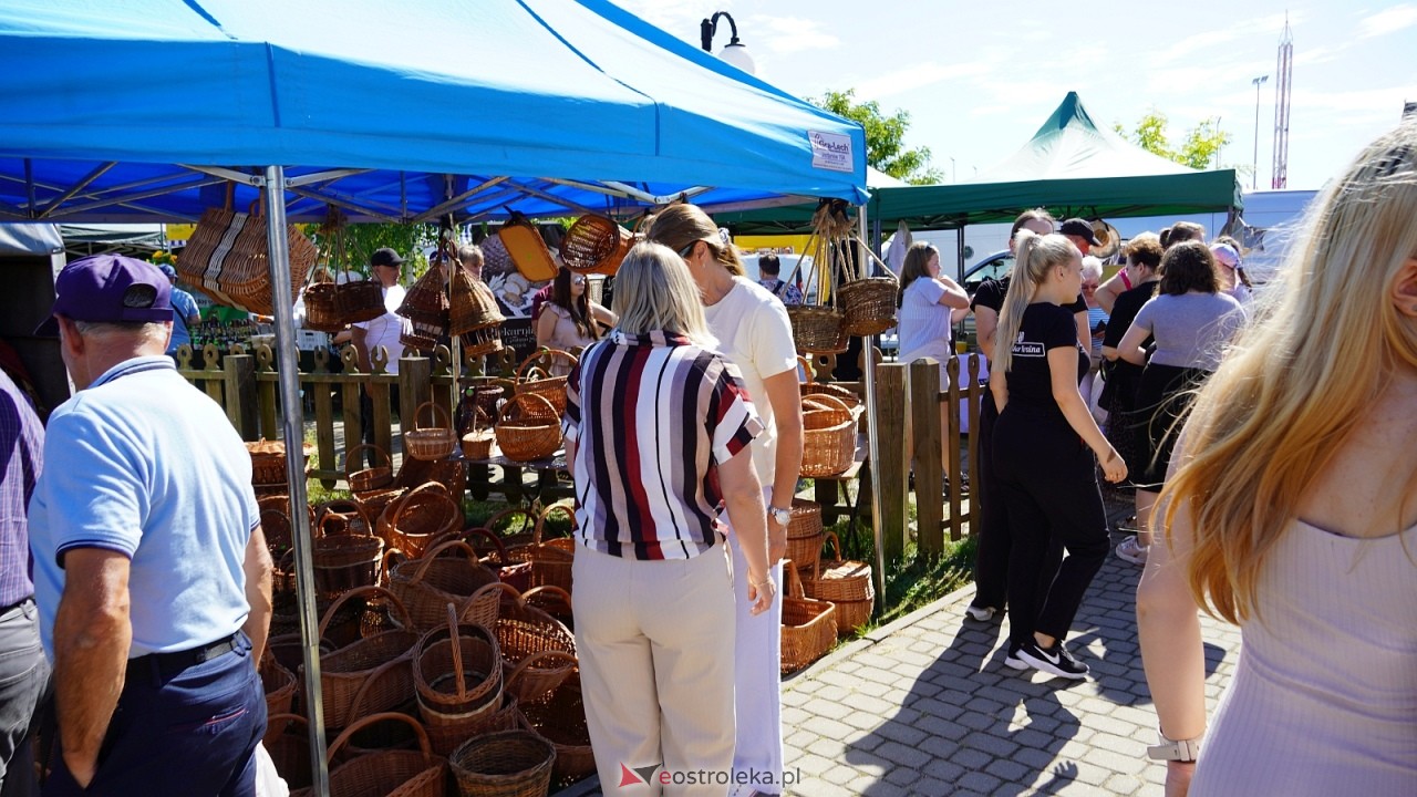 Miodobranie Kurpiowskie 2026 [30.08.2026] - zdjęcie #173 - eOstroleka.pl