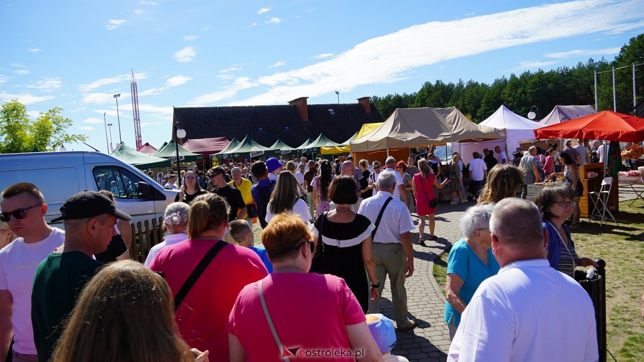 Miodobranie Kurpiowskie 2026 [30.08.2026] - zdjęcie #171 - eOstroleka.pl