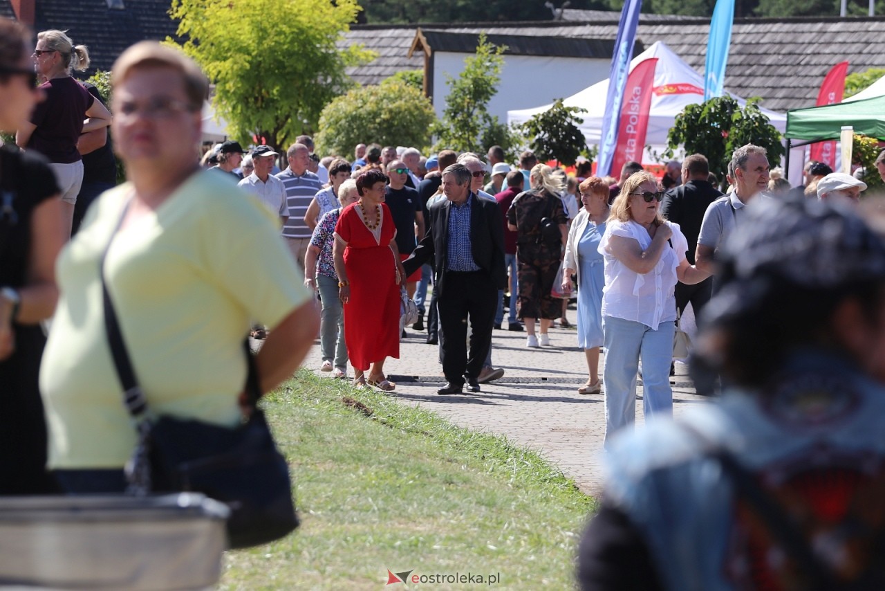 Miodobranie Kurpiowskie 2026 [30.08.2026] - zdjęcie #97 - eOstroleka.pl