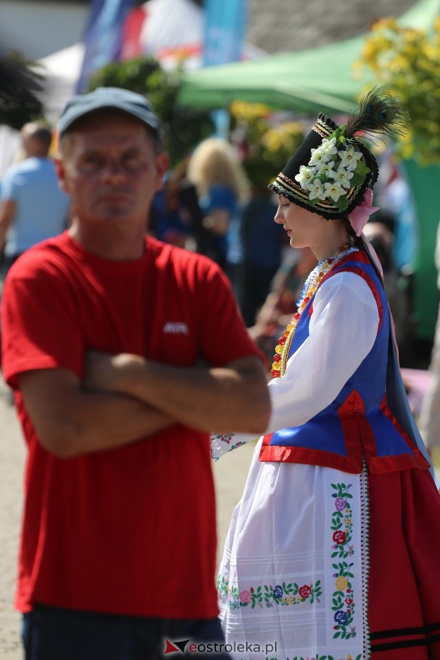 Miodobranie Kurpiowskie 2026 [30.08.2026] - zdjęcie #75 - eOstroleka.pl