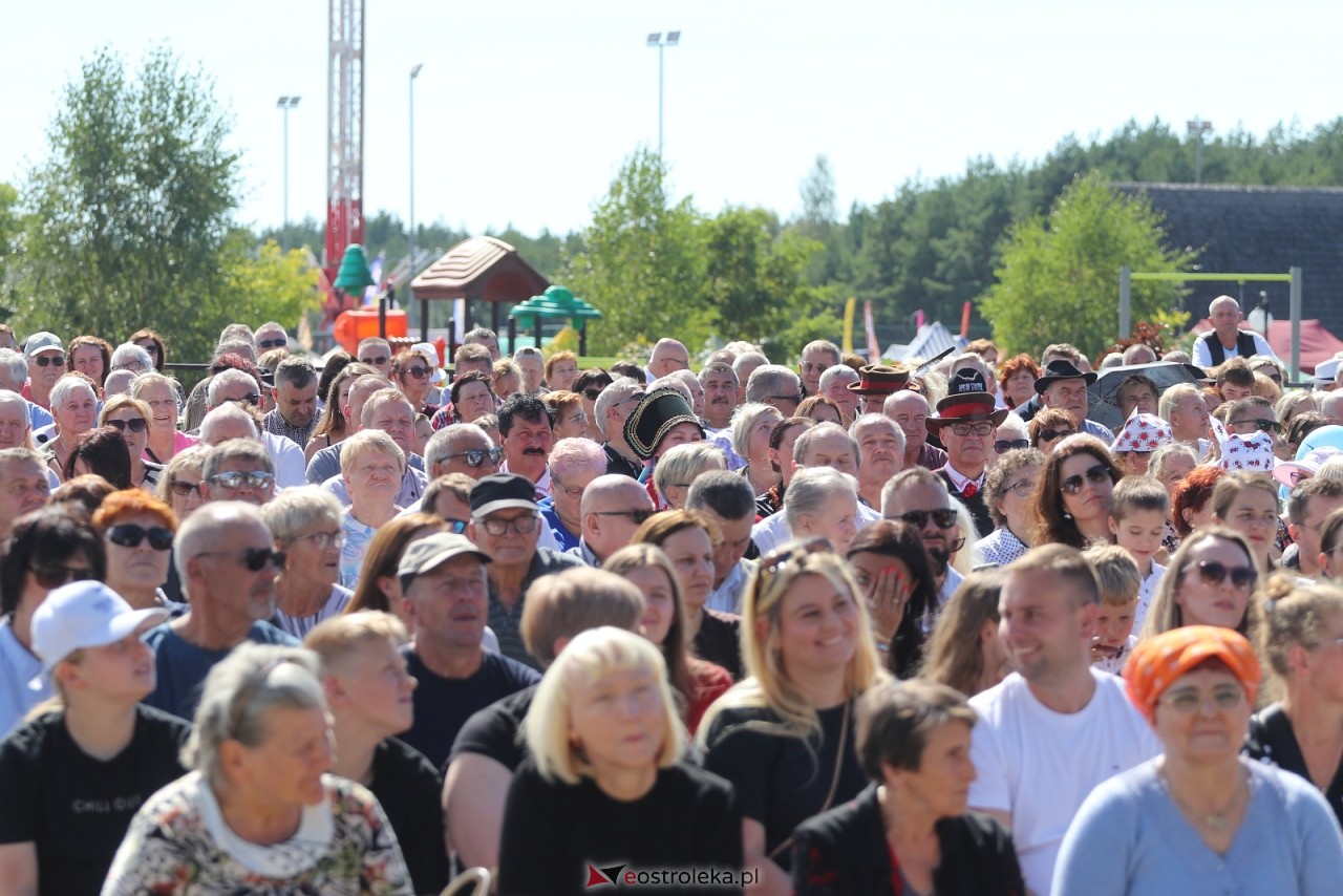 Miodobranie Kurpiowskie 2026 [30.08.2026] - zdjęcie #11 - eOstroleka.pl