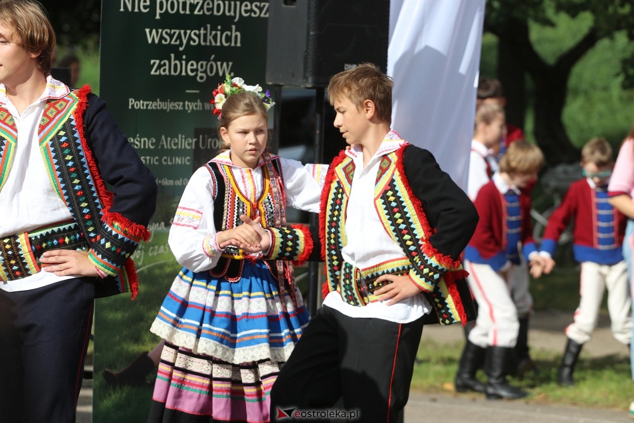 Festyn na osiedlu Wojciechowice [5.09.2026] - zdjęcie #71 - eOstroleka.pl
