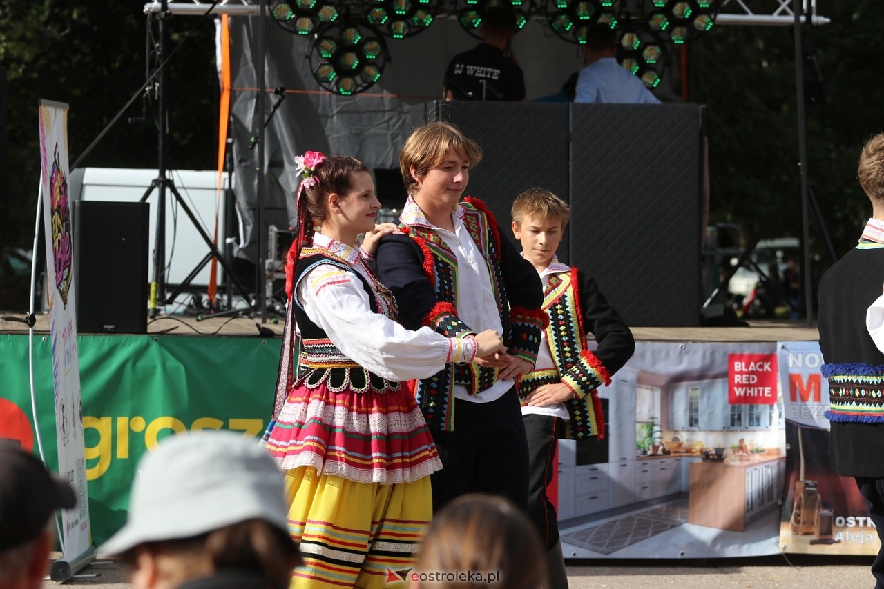 Festyn na osiedlu Wojciechowice [5.09.2026] - zdjęcie #70 - eOstroleka.pl