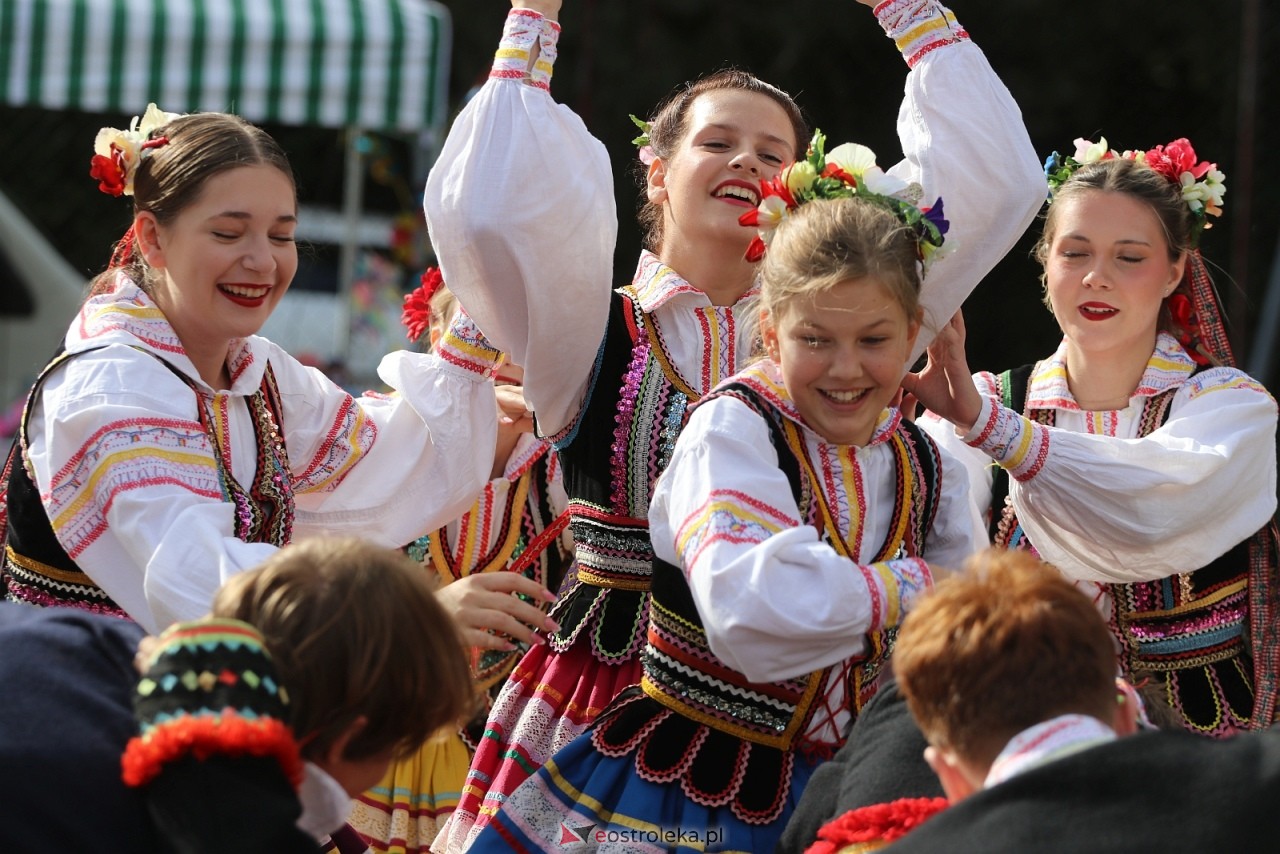 Festyn na osiedlu Wojciechowice [5.09.2026] - zdjęcie #59 - eOstroleka.pl