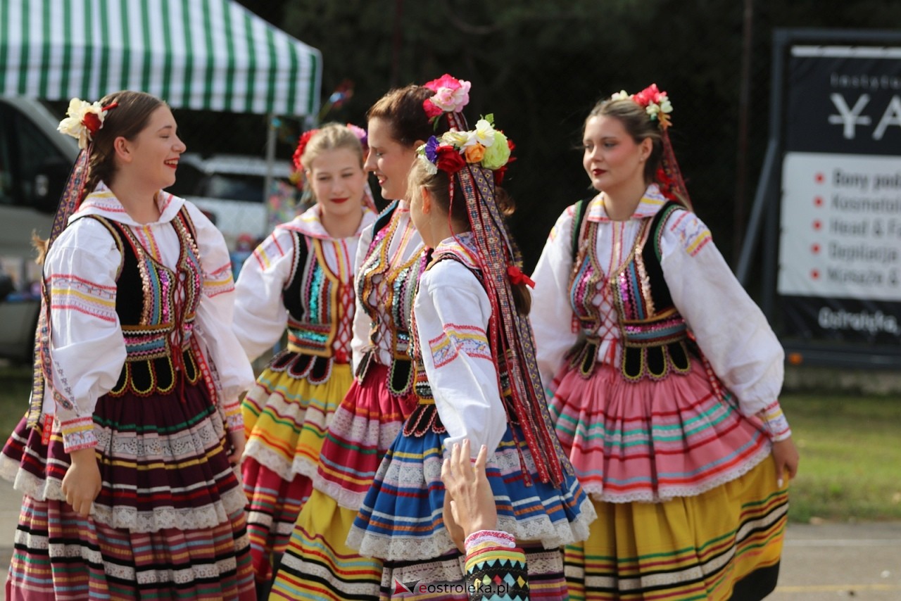 Festyn na osiedlu Wojciechowice [5.09.2026] - zdjęcie #58 - eOstroleka.pl