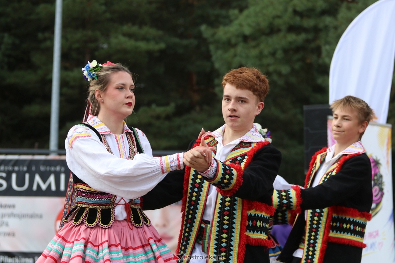 Festyn na osiedlu Wojciechowice [5.09.2026] - zdjęcie #42 - eOstroleka.pl