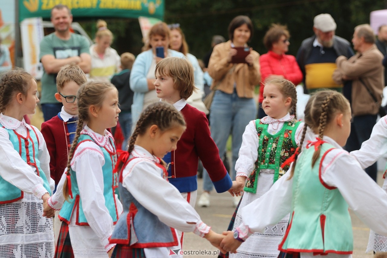 Festyn na osiedlu Wojciechowice [5.09.2026] - zdjęcie #17 - eOstroleka.pl