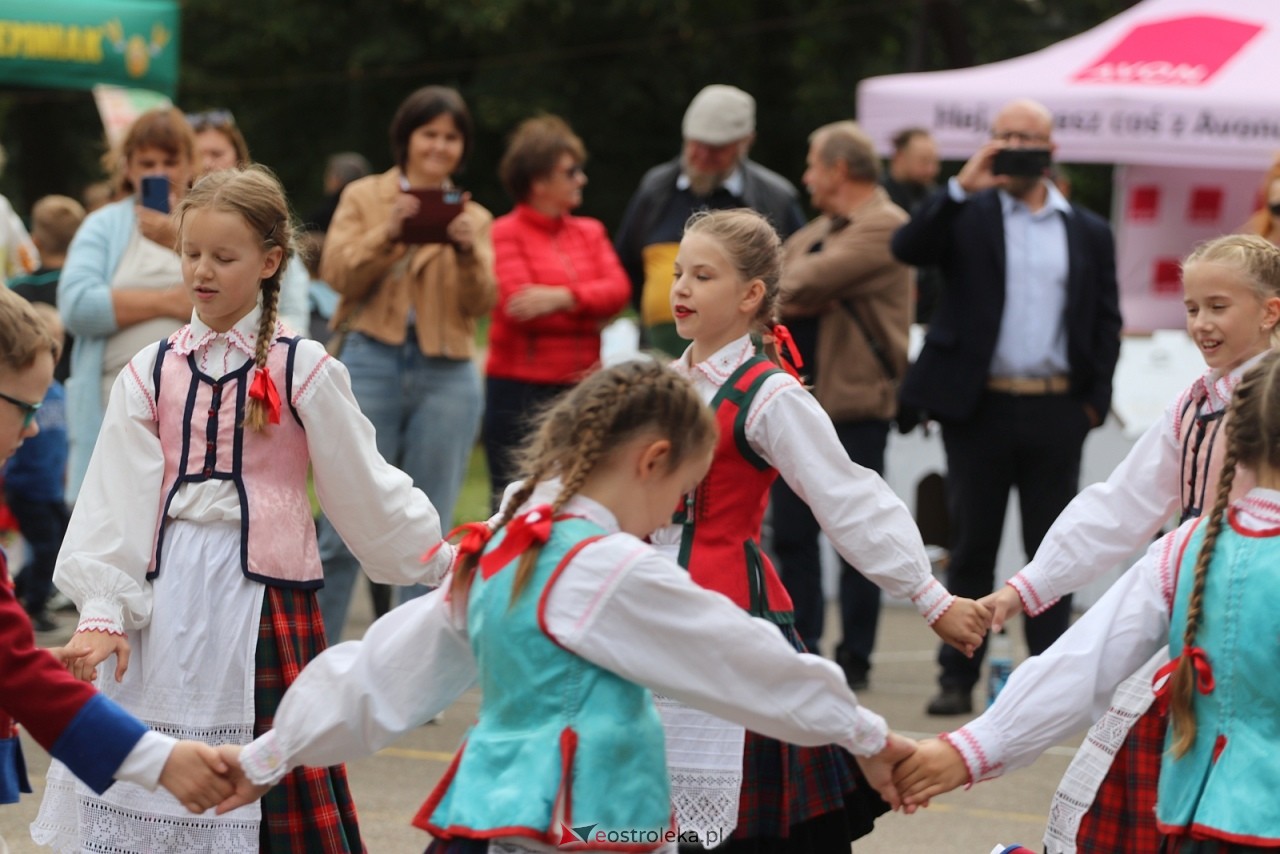 Festyn na osiedlu Wojciechowice [5.09.2026] - zdjęcie #15 - eOstroleka.pl