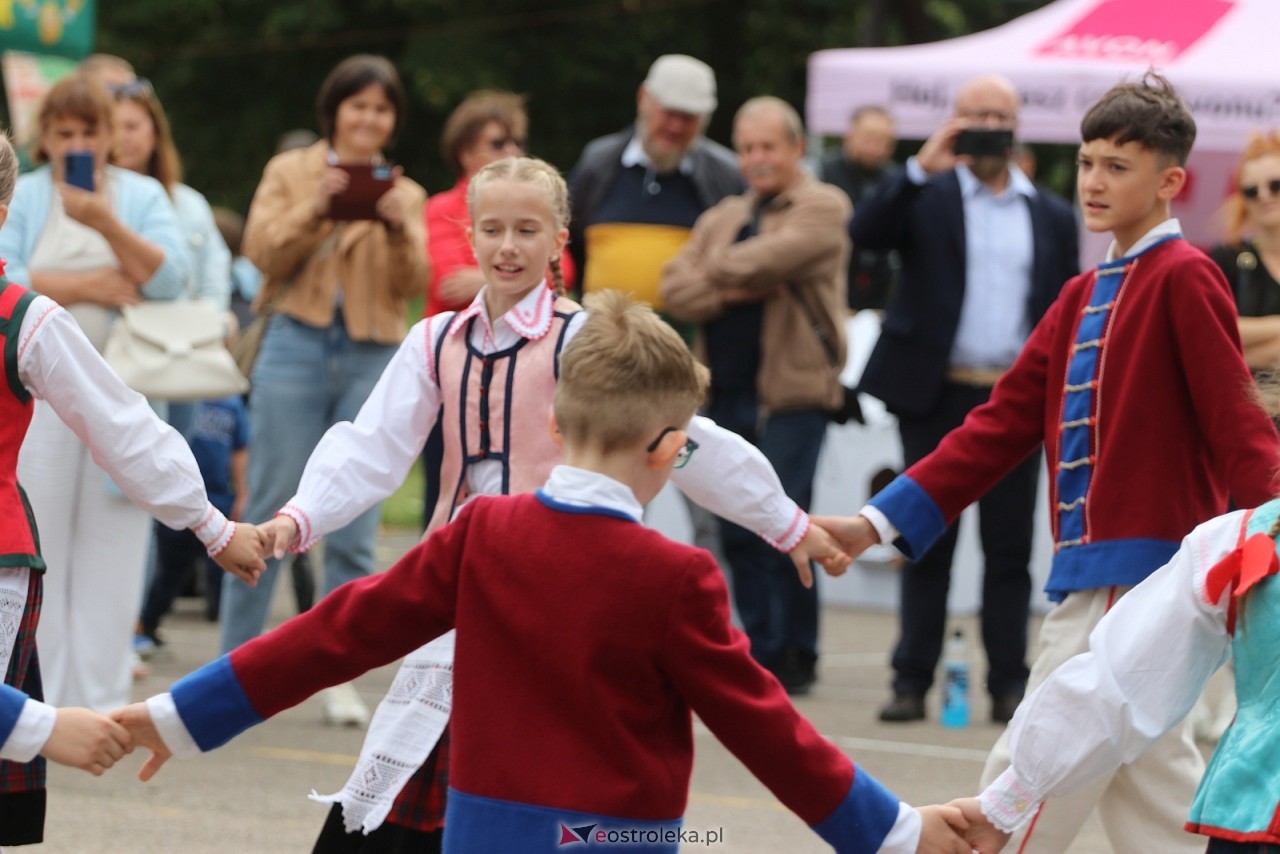 Festyn na osiedlu Wojciechowice [5.09.2026] - zdjęcie #14 - eOstroleka.pl