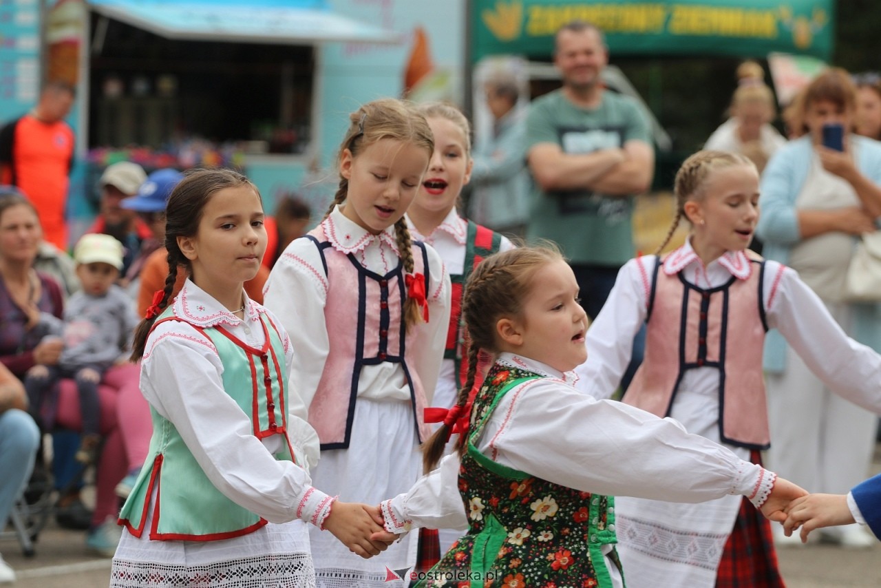 Festyn na osiedlu Wojciechowice [5.09.2026] - zdjęcie #13 - eOstroleka.pl