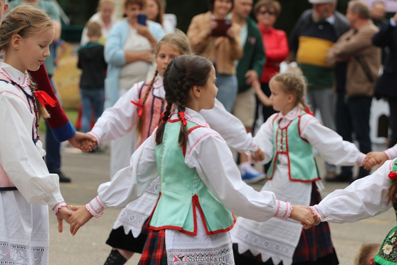 Festyn na osiedlu Wojciechowice [5.09.2026] - zdjęcie #12 - eOstroleka.pl