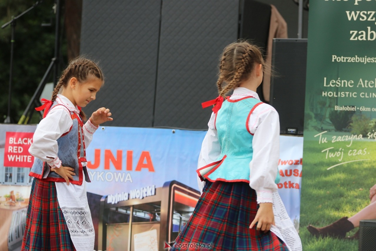 Festyn na osiedlu Wojciechowice [5.09.2026] - zdjęcie #10 - eOstroleka.pl
