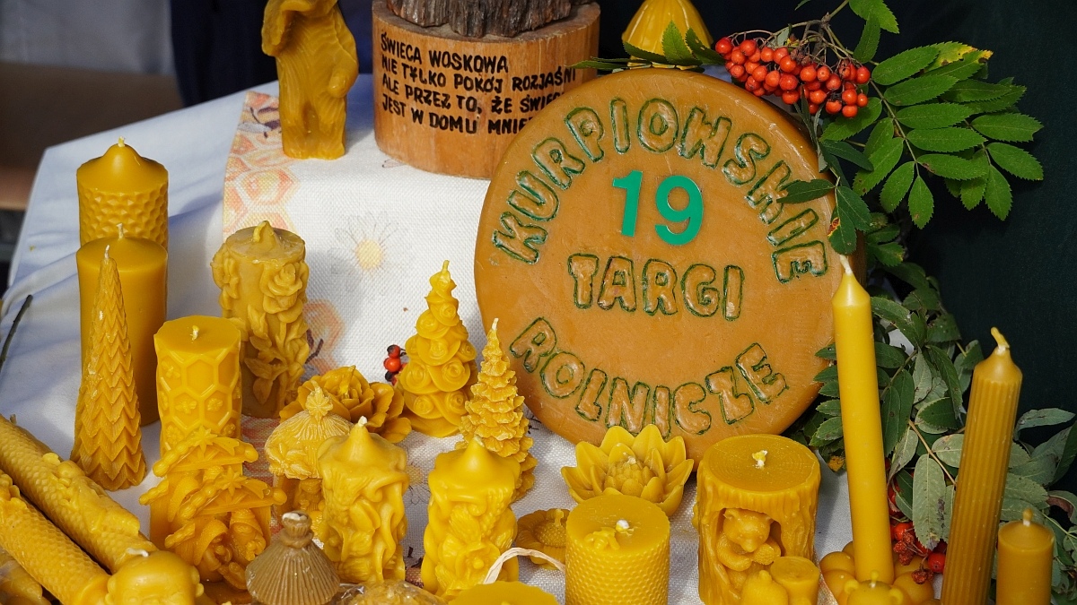Kurpiowskie Targi Rolnicze w Ostrołęce [13.09.2026] - zdjęcie #65 - eOstroleka.pl