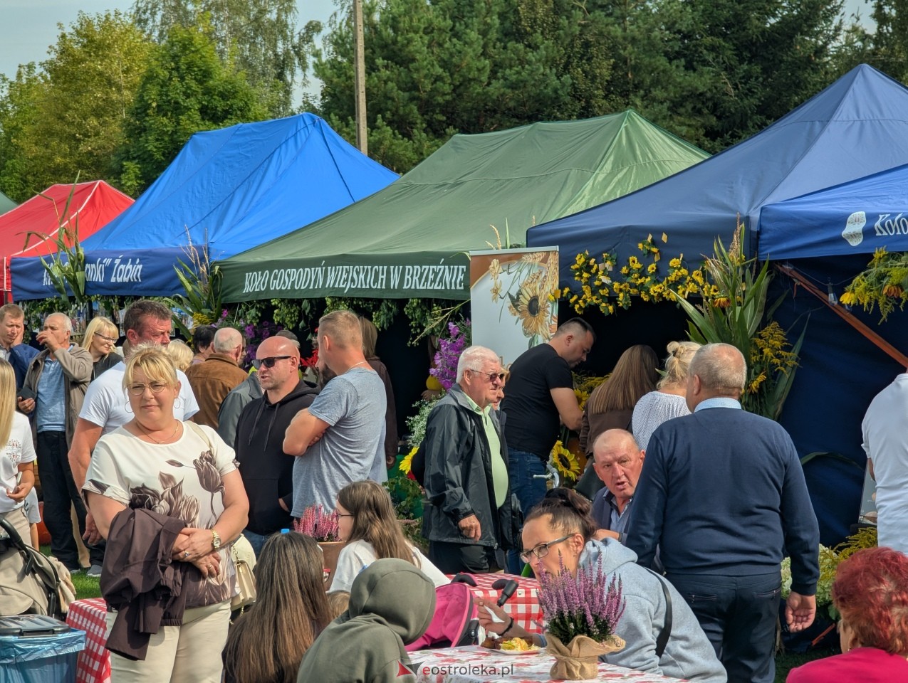 Dożynki w Goworowie [13.09.2026] - zdjęcie #111 - eOstroleka.pl