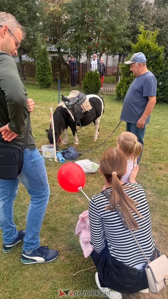 Festyn Od malucha do seniora na osiedlu Centrum [13.09.2026] - zdjęcie #24 - eOstroleka.pl