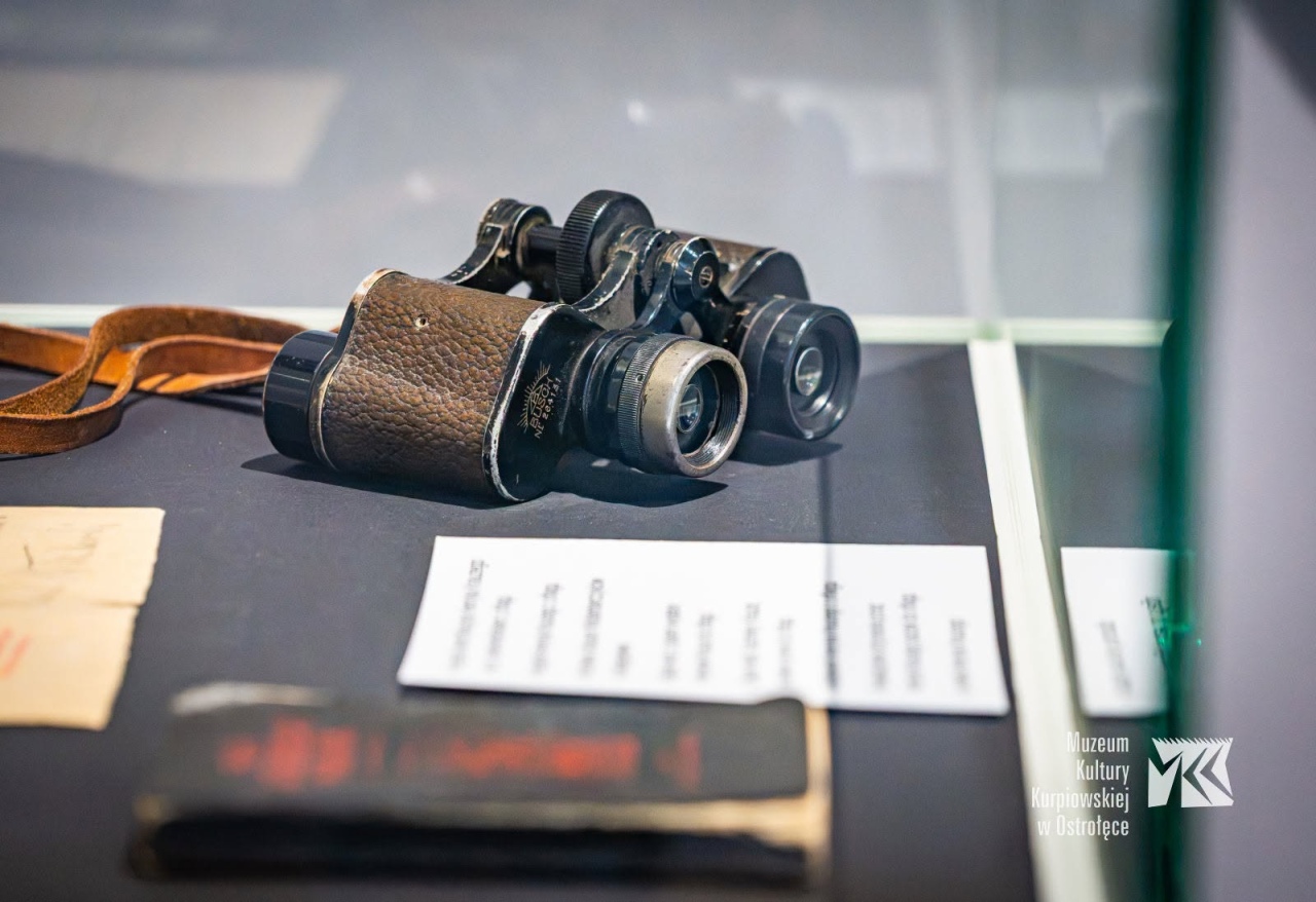 Nowa wystawa w Muzeum Kultury Kurpiowskiej Ostrołęce. Zobacz niezwykłą twórczość Henryka Krauzego [17.09.2026] - zdjęcie #13 - eOstroleka.pl