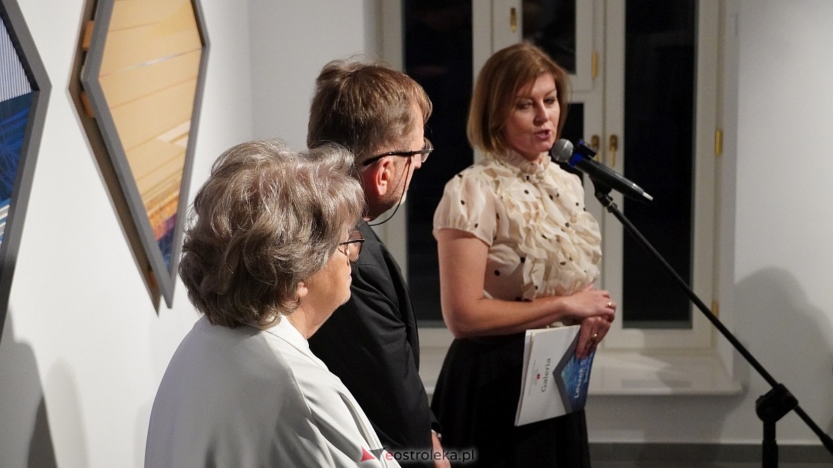 Jubileuszowa wystawa w Galerii Ostrołęka [17.09.2026] - zdjęcie #16 - eOstroleka.pl