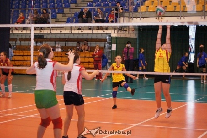 Mikołajkowy Turniej Mini Siatkówki o Puchar Dyrektora MZOS-T i IT [7-8.01.2012] - zdjęcie #21 - eOstroleka.pl