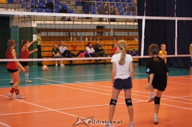 Mikołajkowy Turniej Mini Siatkówki o Puchar Dyrektora MZOS-T i IT [7-8.01.2012] - zdjęcie #19 - eOstroleka.pl