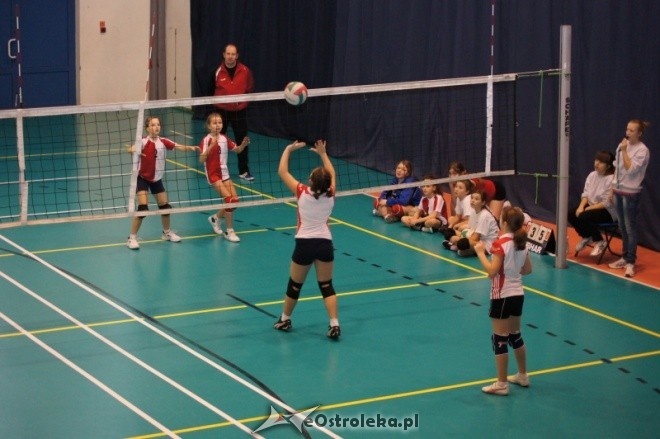Mikołajkowy Turniej Mini Siatkówki o Puchar Dyrektora MZOS-T i IT [7-8.01.2012] - zdjęcie #9 - eOstroleka.pl