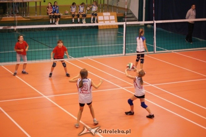 Mikołajkowy Turniej Mini Siatkówki o Puchar Dyrektora MZOS-T i IT [7-8.01.2012] - zdjęcie #22 - eOstroleka.pl