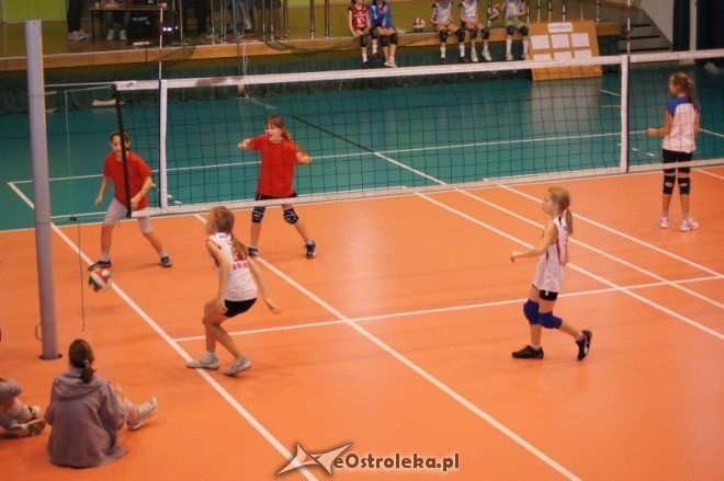 Mikołajkowy Turniej Mini Siatkówki o Puchar Dyrektora MZOS-T i IT [7-8.01.2012] - zdjęcie #23 - eOstroleka.pl