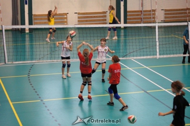 Mikołajkowy Turniej Mini Siatkówki o Puchar Dyrektora MZOS-T i IT [7-8.01.2012] - zdjęcie #1 - eOstroleka.pl