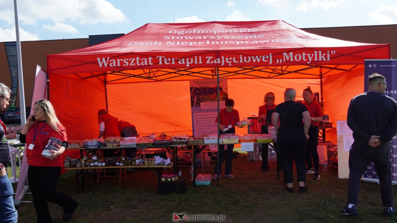 Festyn charytatywny WTZ Motylki [19.09.2026] - zdjęcie #130 - eOstroleka.pl