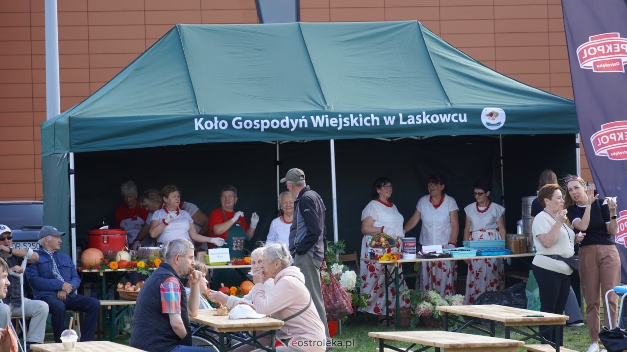 Festyn charytatywny WTZ Motylki [19.09.2026] - zdjęcie #62 - eOstroleka.pl