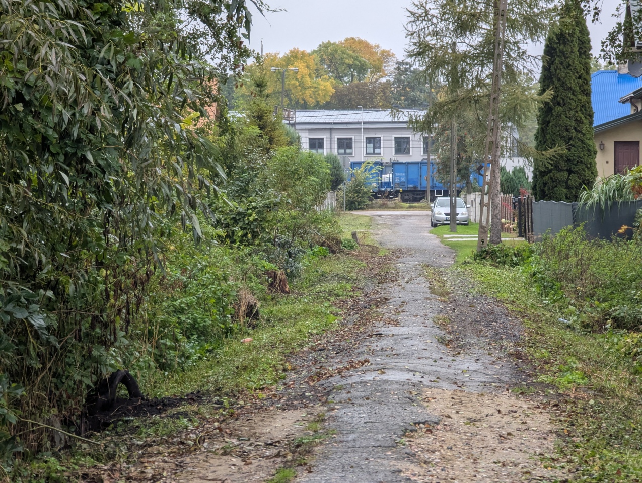Czarna dróżka w Ostrołęce [25.09.2026] - zdjęcie #3 - eOstroleka.pl