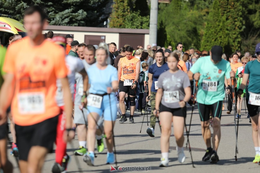 Festiwal Biegowy i Nordic Walking Olszewo-Borki na sportowo o Puchar Wójta Gminy Olszewo - Borki - zdjęcie #47 - eOstroleka.pl