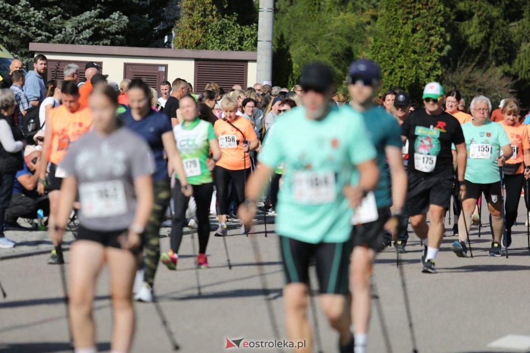 Festiwal Biegowy i Nordic Walking Olszewo-Borki na sportowo o Puchar Wójta Gminy Olszewo - Borki - zdjęcie #44 - eOstroleka.pl