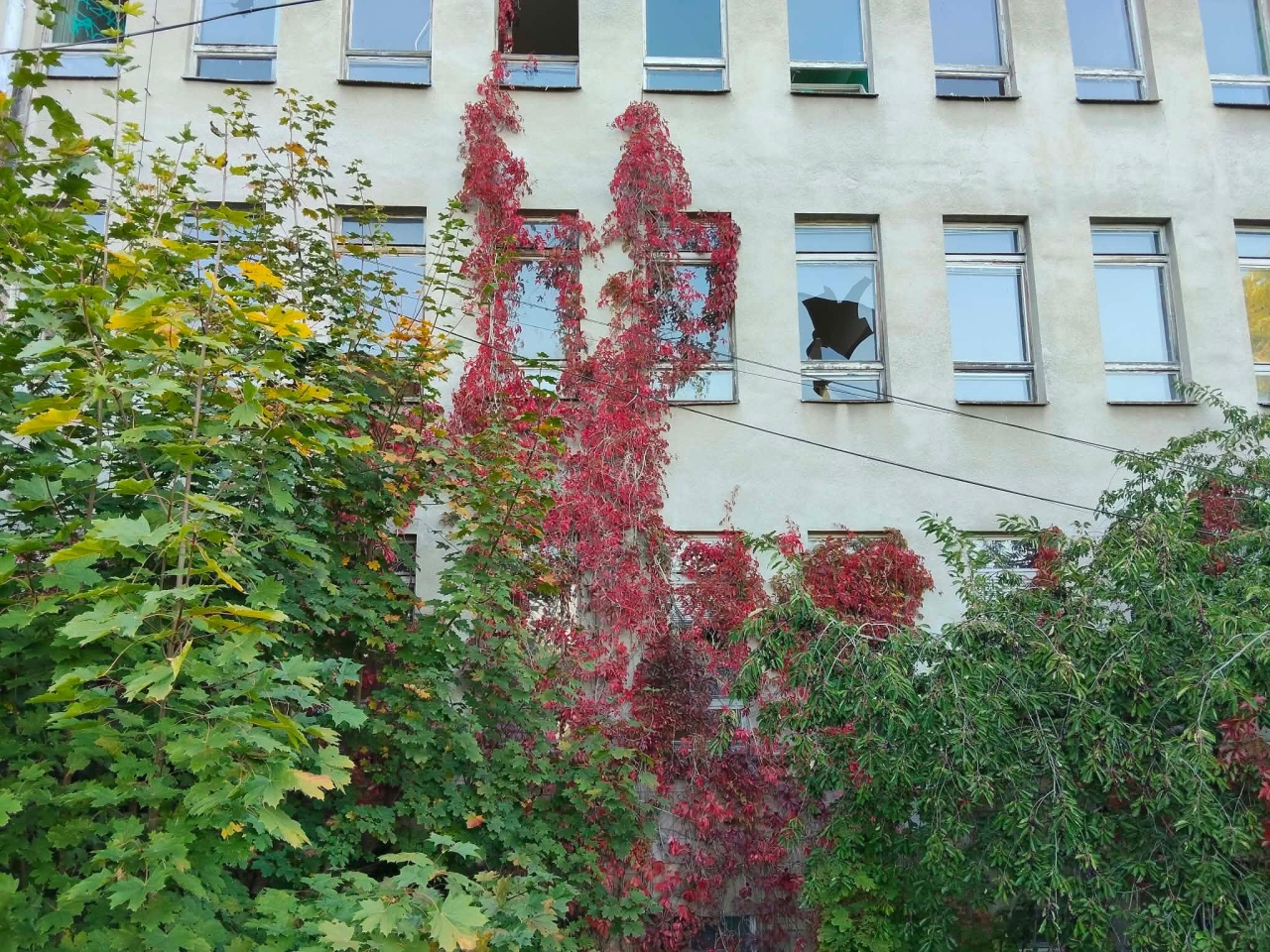 Stary szpital w Ostrołęce [27.09.2026] - zdjęcie #36 - eOstroleka.pl