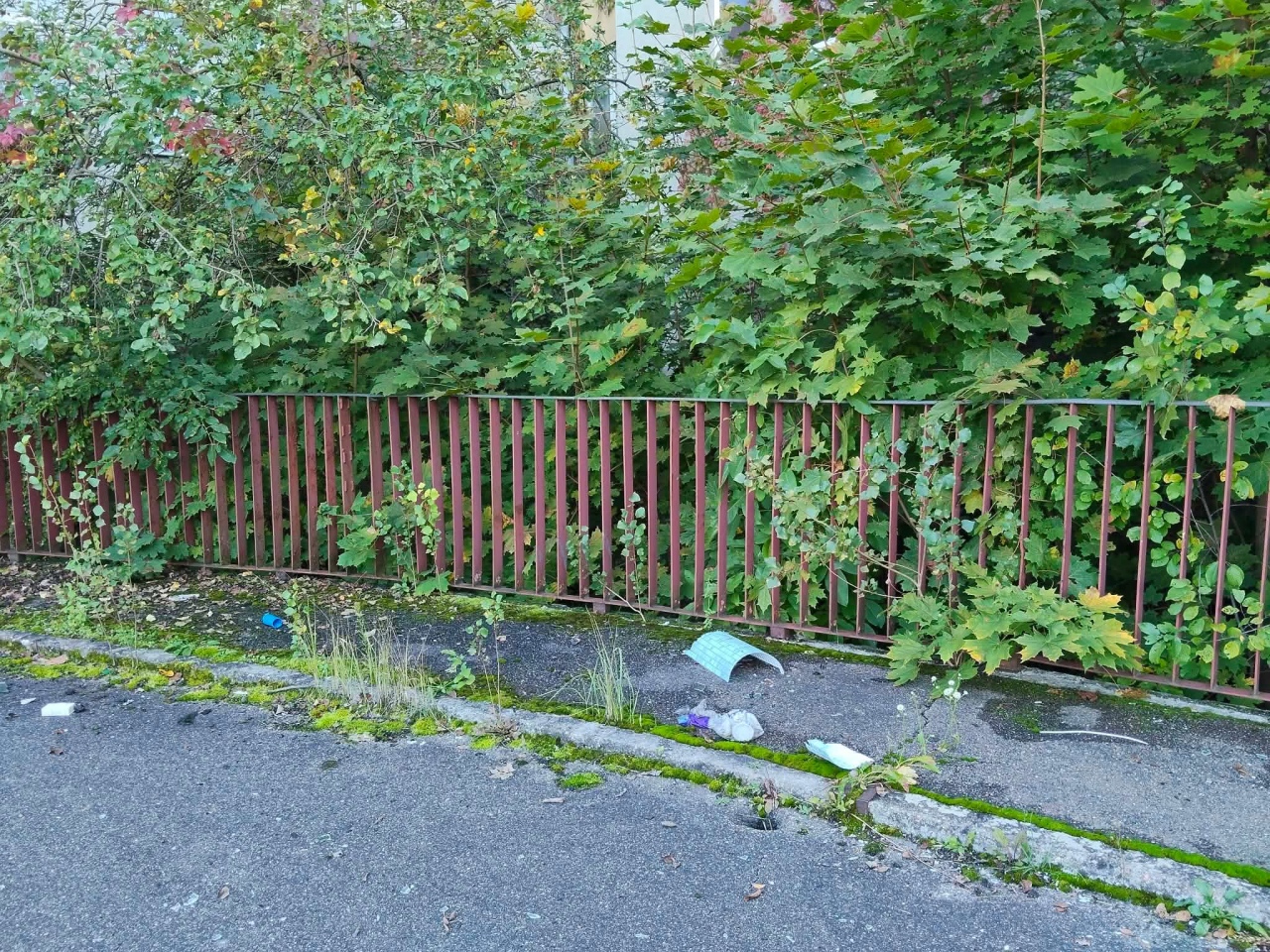 Stary szpital w Ostrołęce [27.09.2026] - zdjęcie #33 - eOstroleka.pl