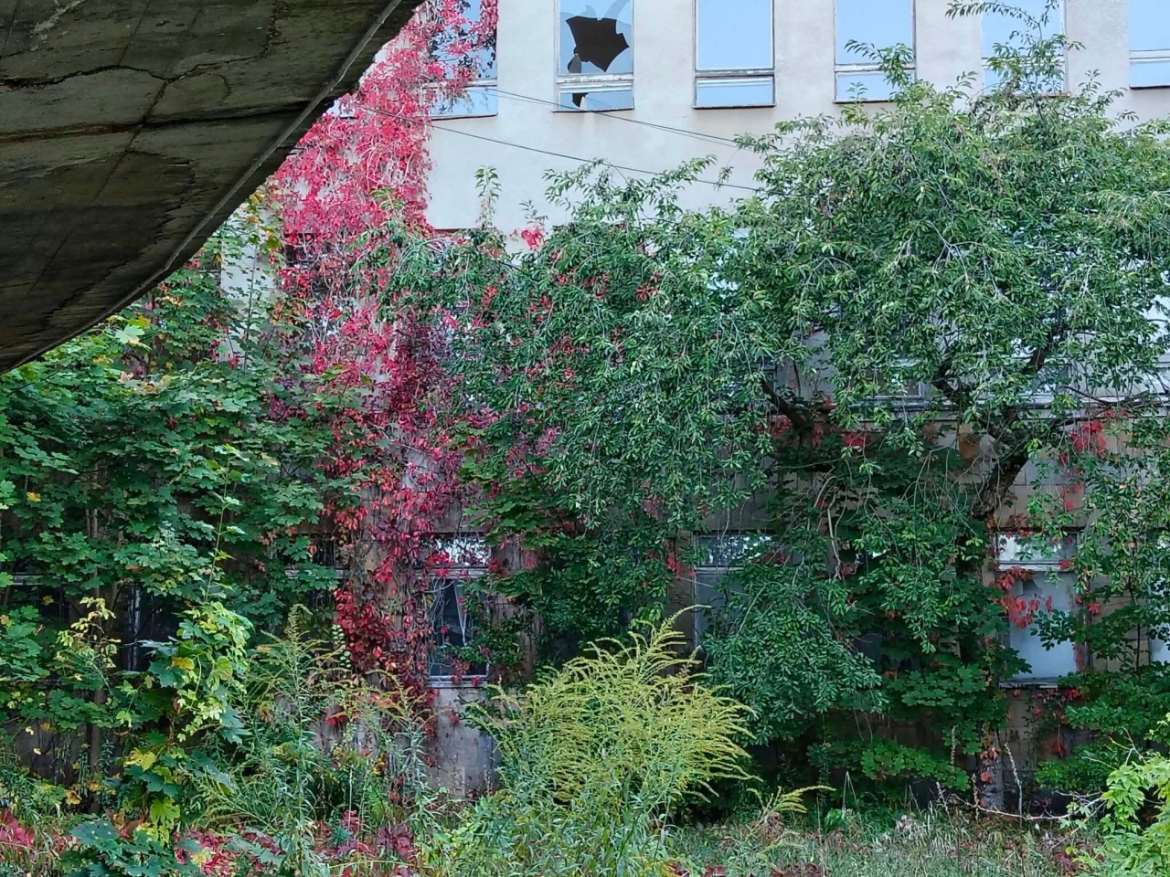 Stary szpital w Ostrołęce [27.09.2026] - zdjęcie #27 - eOstroleka.pl