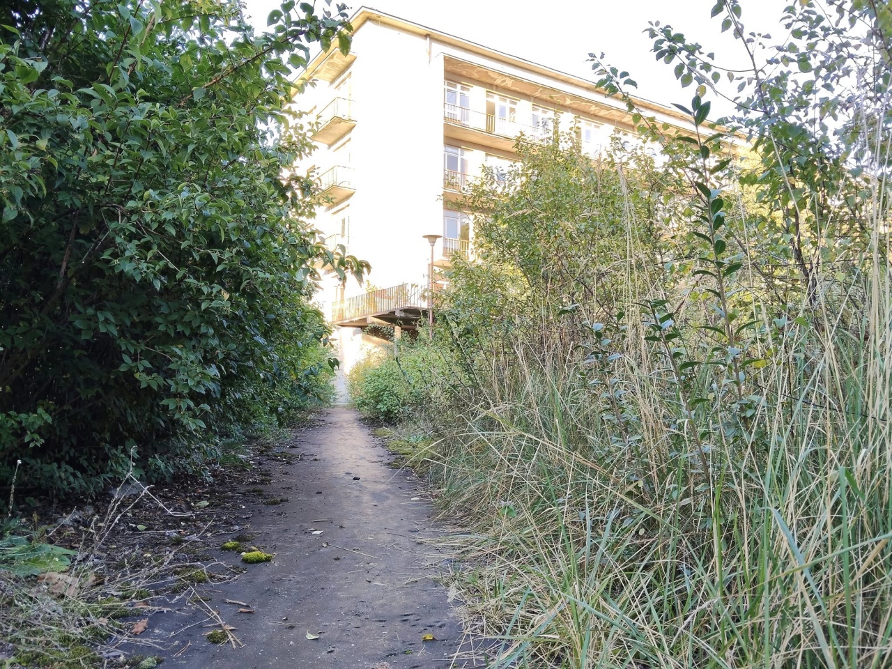 Stary szpital w Ostrołęce [27.09.2026] - zdjęcie #2 - eOstroleka.pl