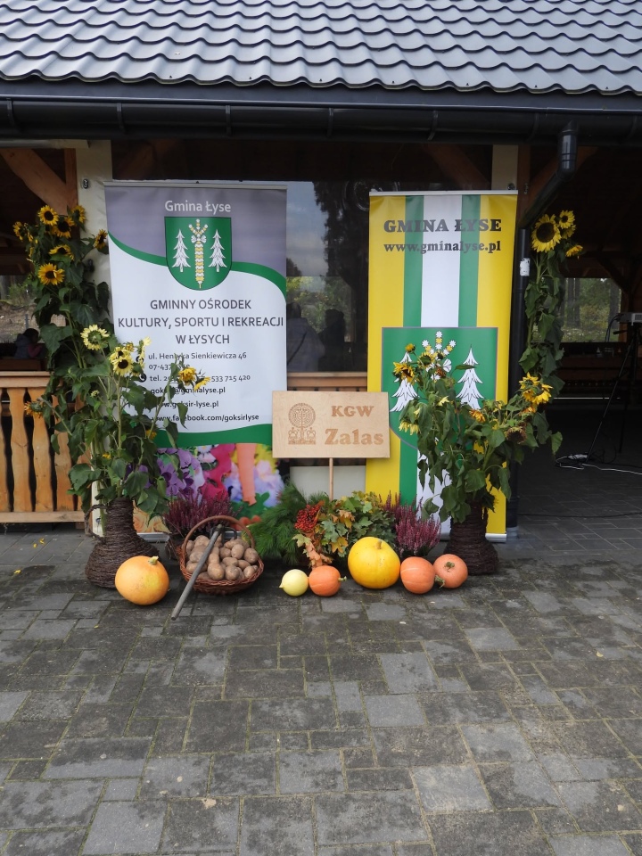 VI Kurpiowskie Grzybobranie [26.09.2026] - zdjęcie #56 - eOstroleka.pl