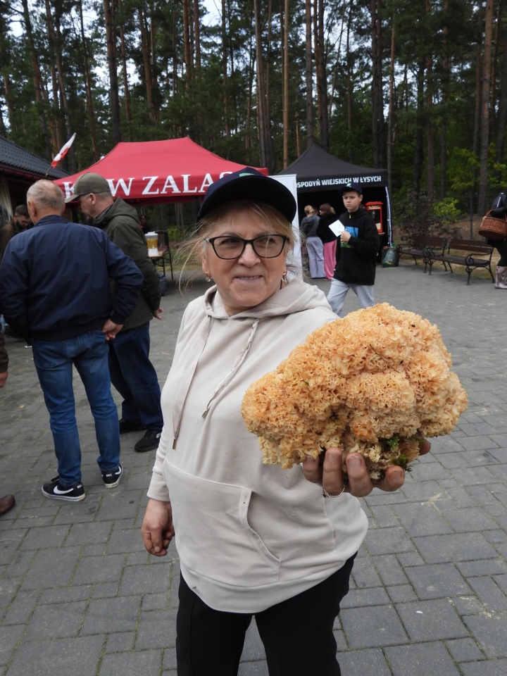 VI Kurpiowskie Grzybobranie [26.09.2026] - zdjęcie #7 - eOstroleka.pl