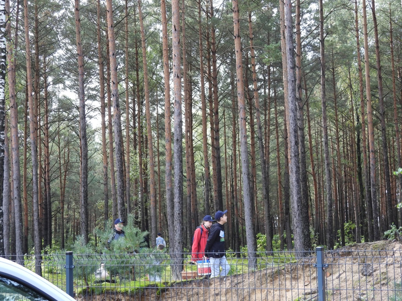 VI Kurpiowskie Grzybobranie [26.09.2026] - zdjęcie #2 - eOstroleka.pl