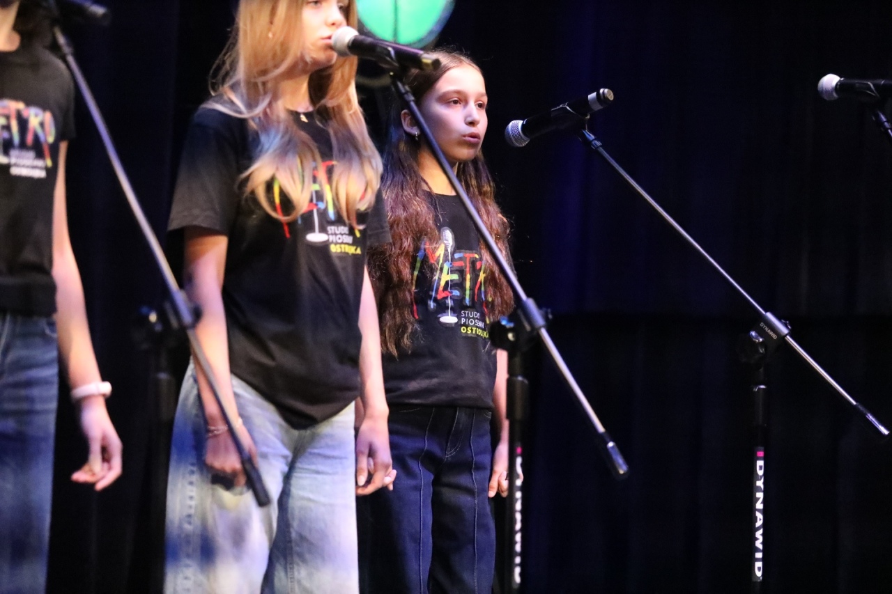 Tamte lata, tamte melodie. Koncert w MŻW. - zdjęcie #27 - eOstroleka.pl
