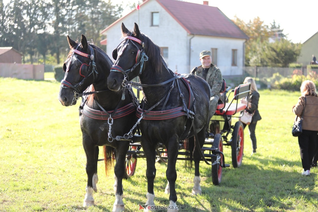 Hybertus 2026 w Pokrzywnicy - zdjęcie #12 - eOstroleka.pl