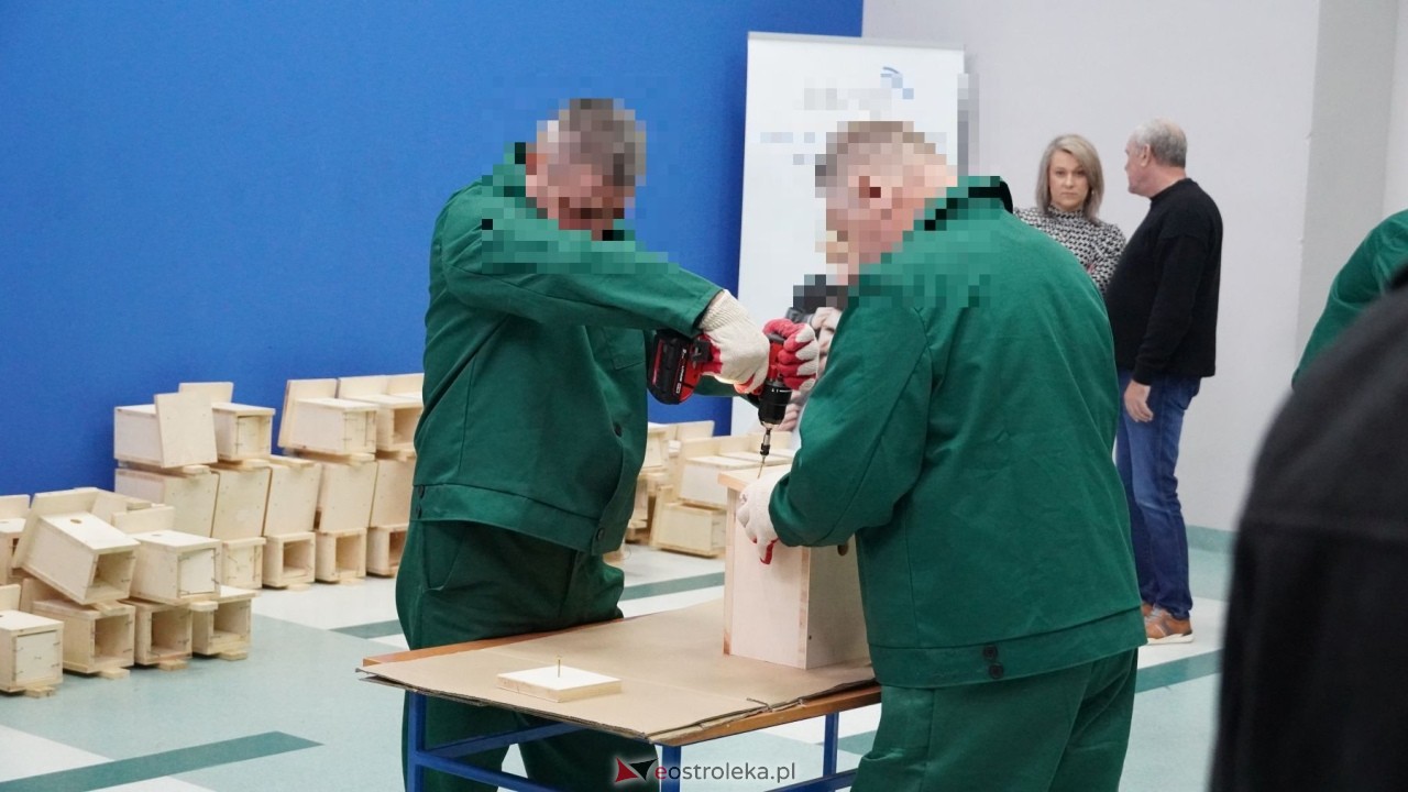 Osadzeni ZK Przytuły Stare przygotowują budki lęgowe dla ptaków [21.10.2026] - zdjęcie #42 - eOstroleka.pl